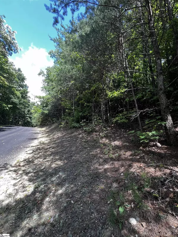 Landrum, SC 29356,18 High Cliffe Way
