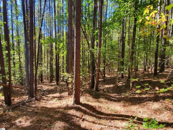 Travelers Rest, SC 29690,16 Belk Road