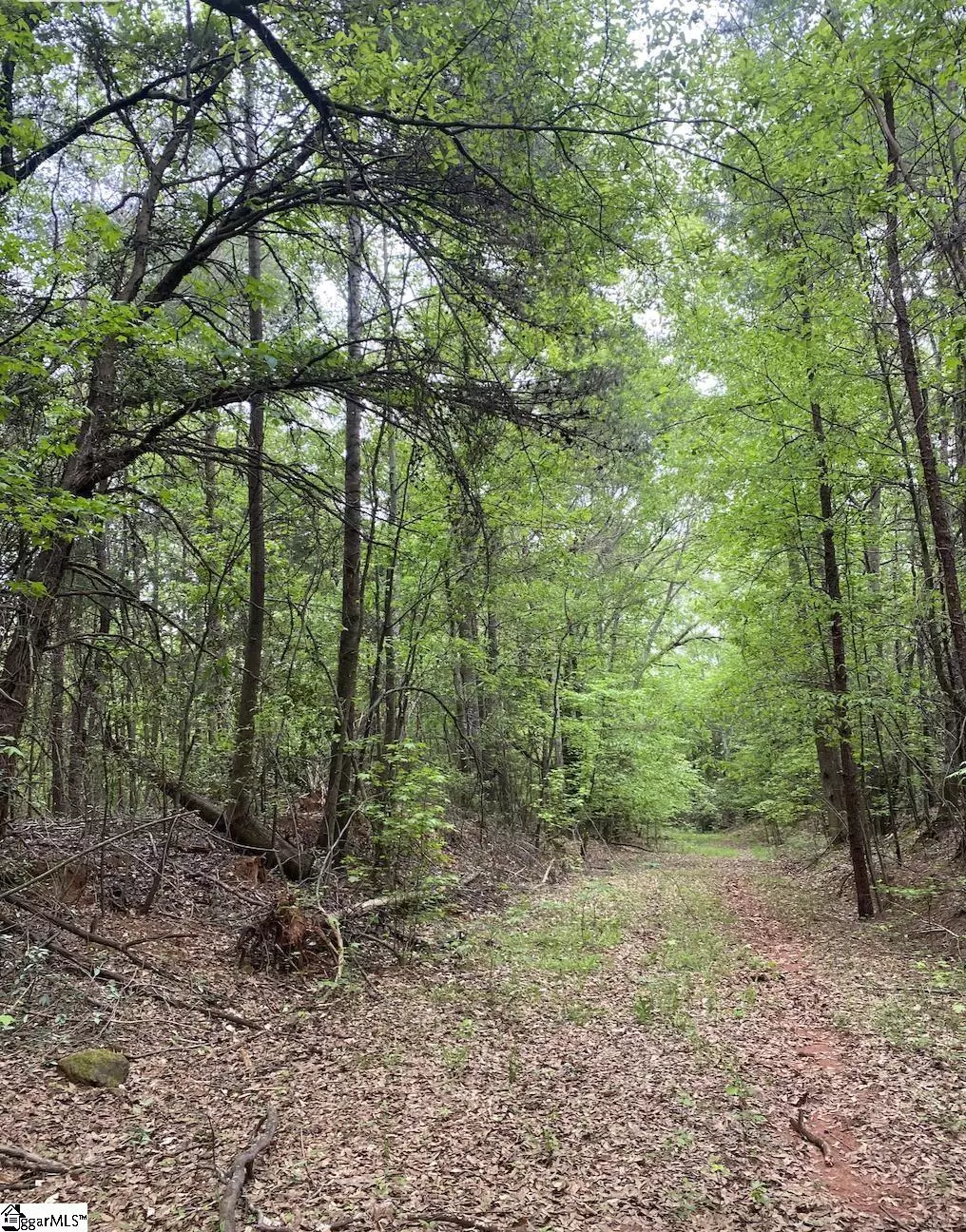 Wellford, SC 29385,00 Wingo Road