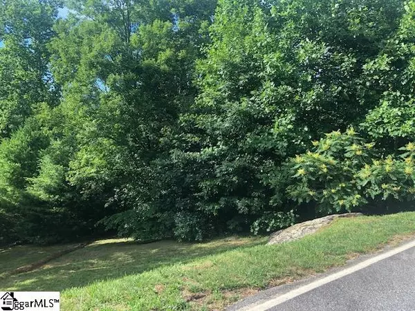 4 Rustic Court, Landrum, SC 29356