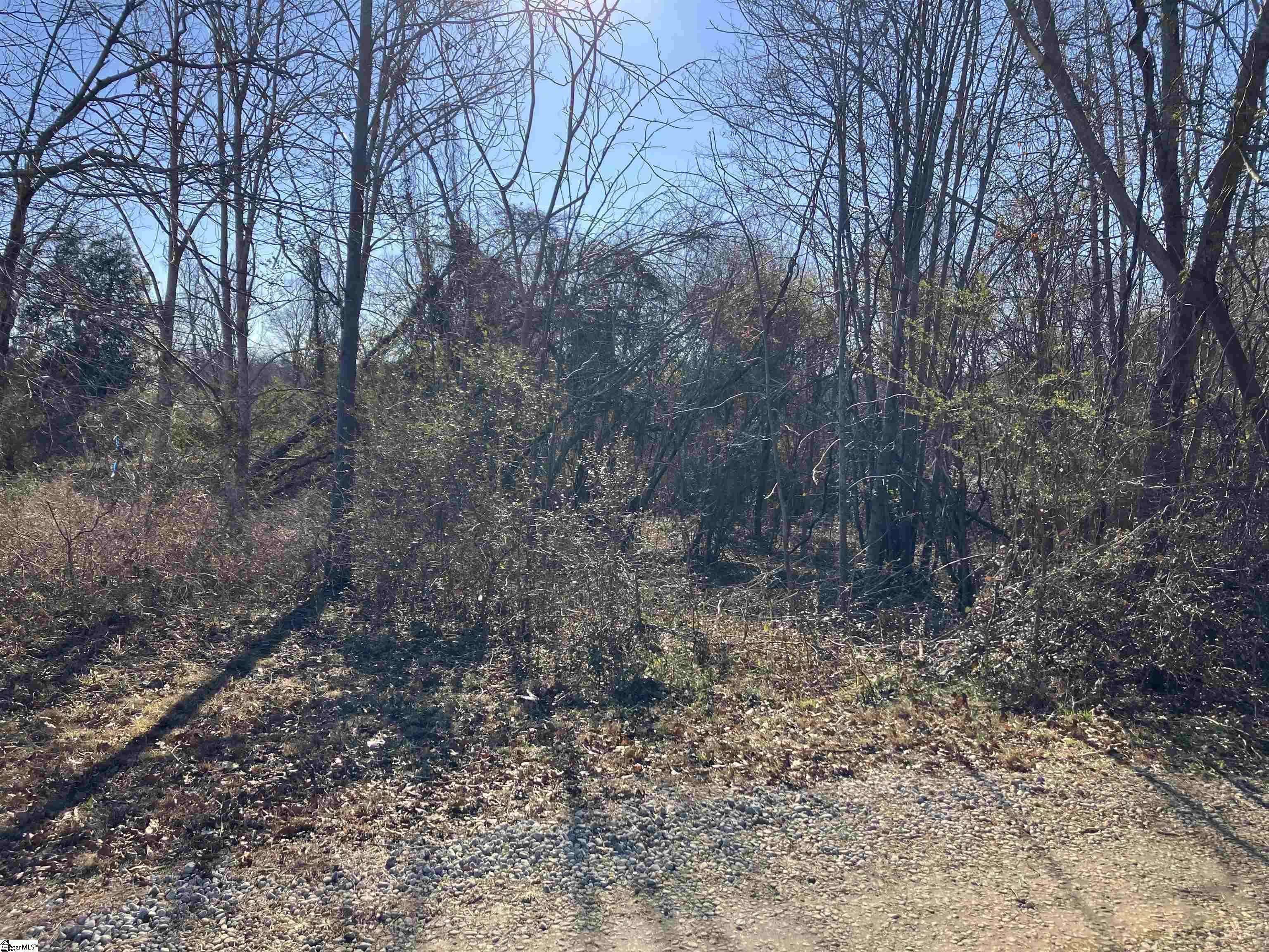 Woodruff, SC 29388,0 Cunningham Road