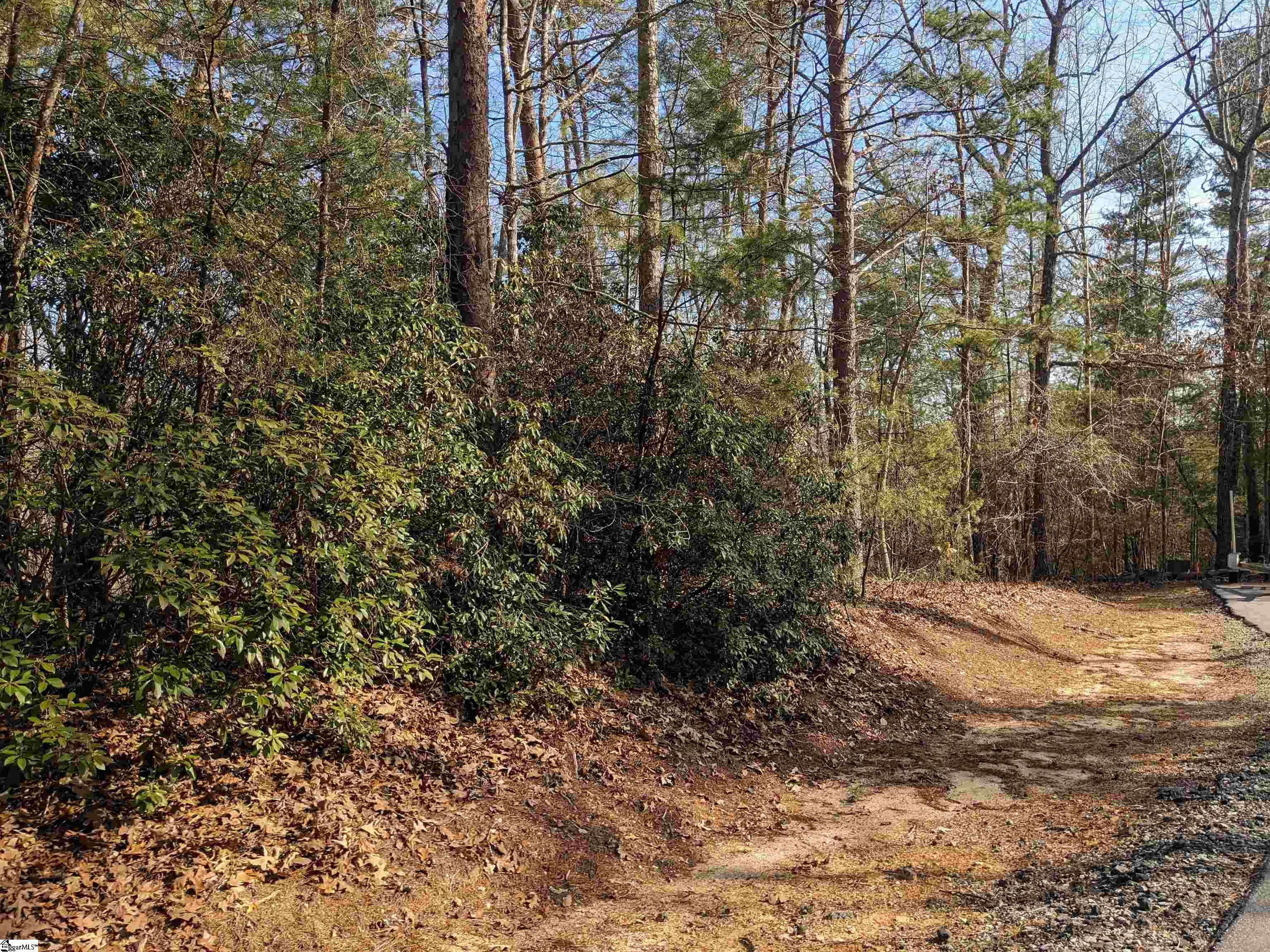 Salem, SC 29676,0 Sourwood Beach Drive