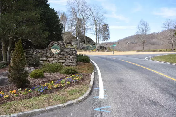 Landrum, SC 29356,1195 Plumley Summit Road