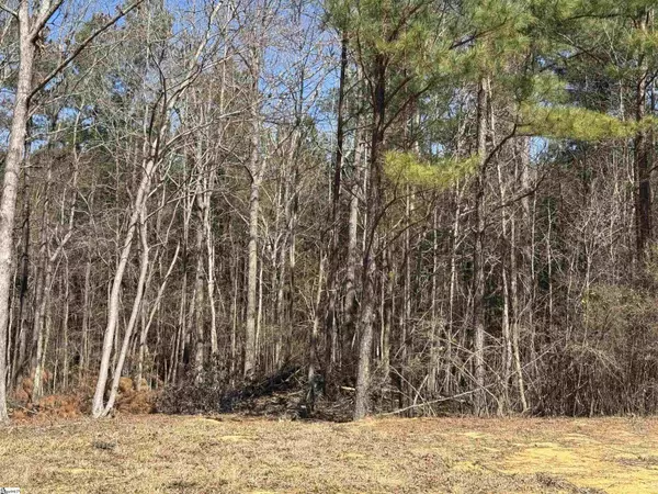 Chester, SC 29706,898 Mountain Lakes Road