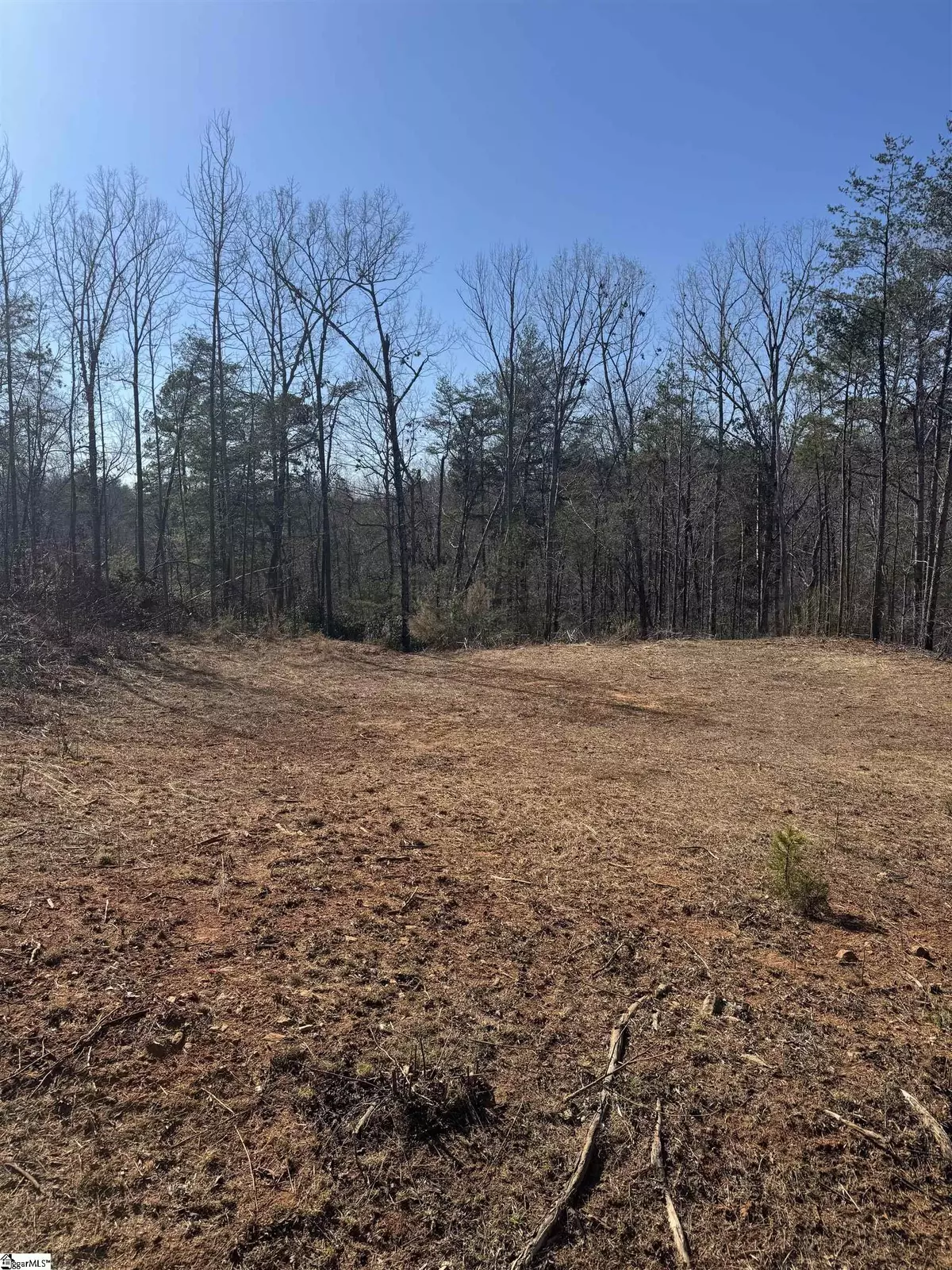 Marietta, SC 29661,21 Sawblade Ridge