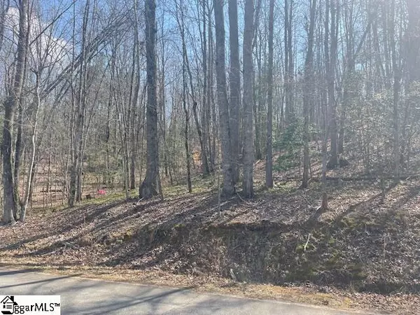 Marietta, SC 29661,Address not disclosed