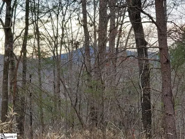 00 Emerald Crest Lane, Cleveland, SC 29635
