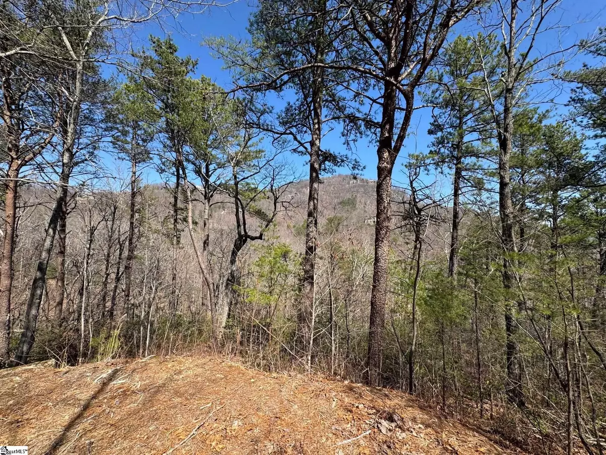 Travelers Rest, SC 29690,19 Foggy Ridge Way