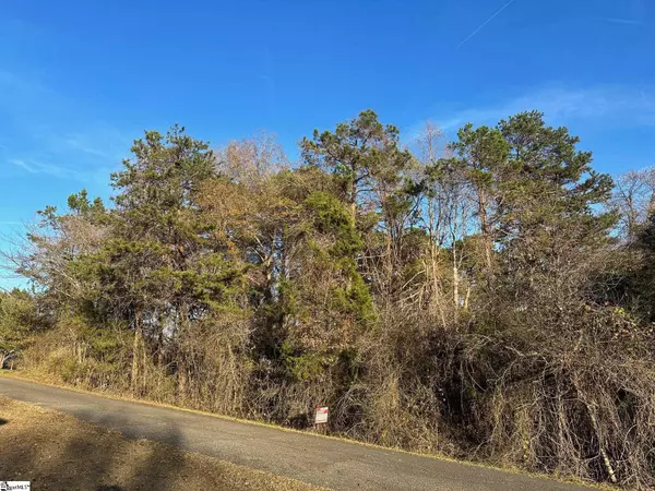 Chesnee, SC 29323,0 Blue Bird Hill Drive
