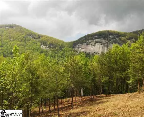 293 Foggy Cut Lane, Landrum, SC 29356