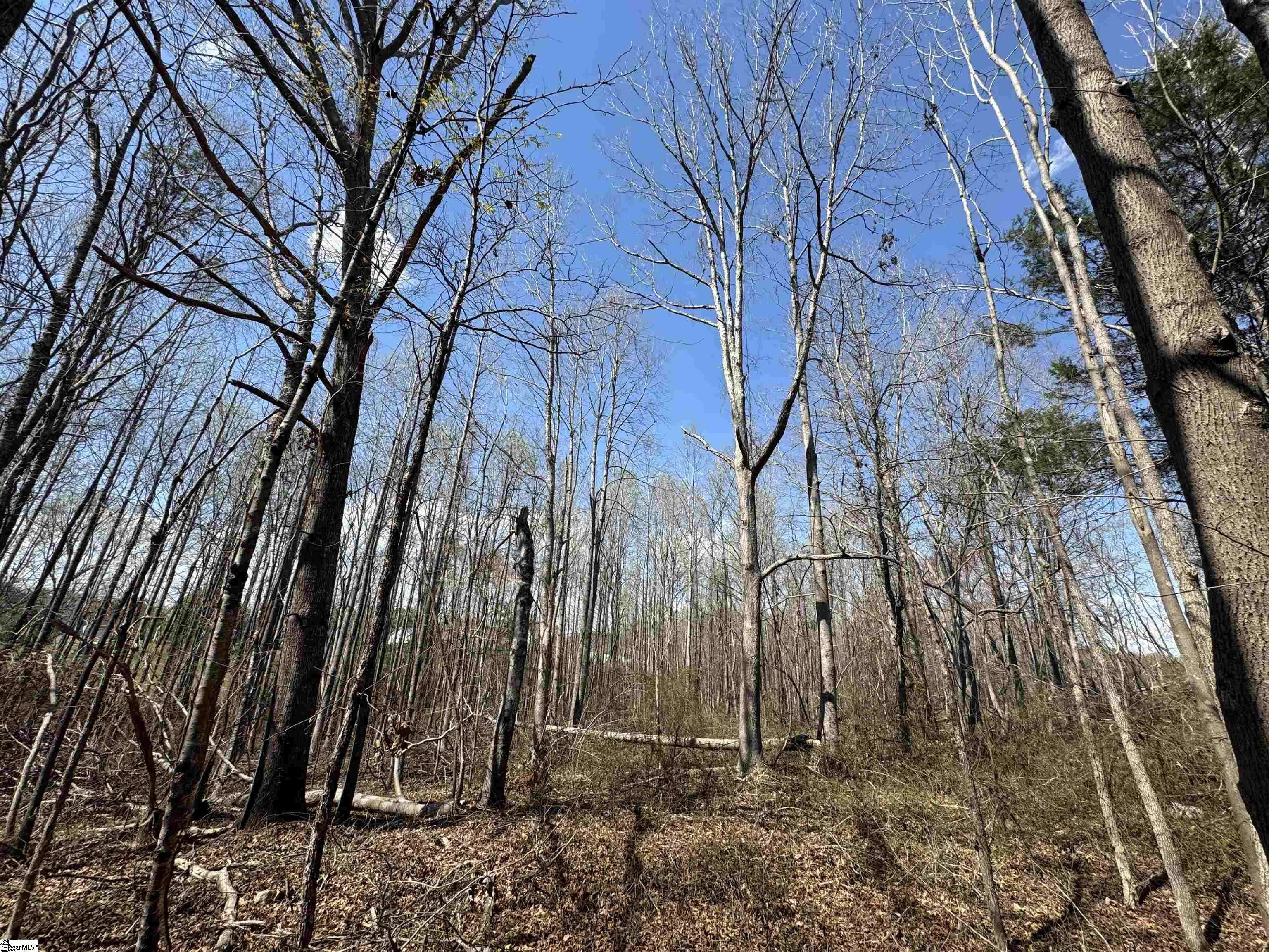 Greer, SC 29651,148 Chandler Court