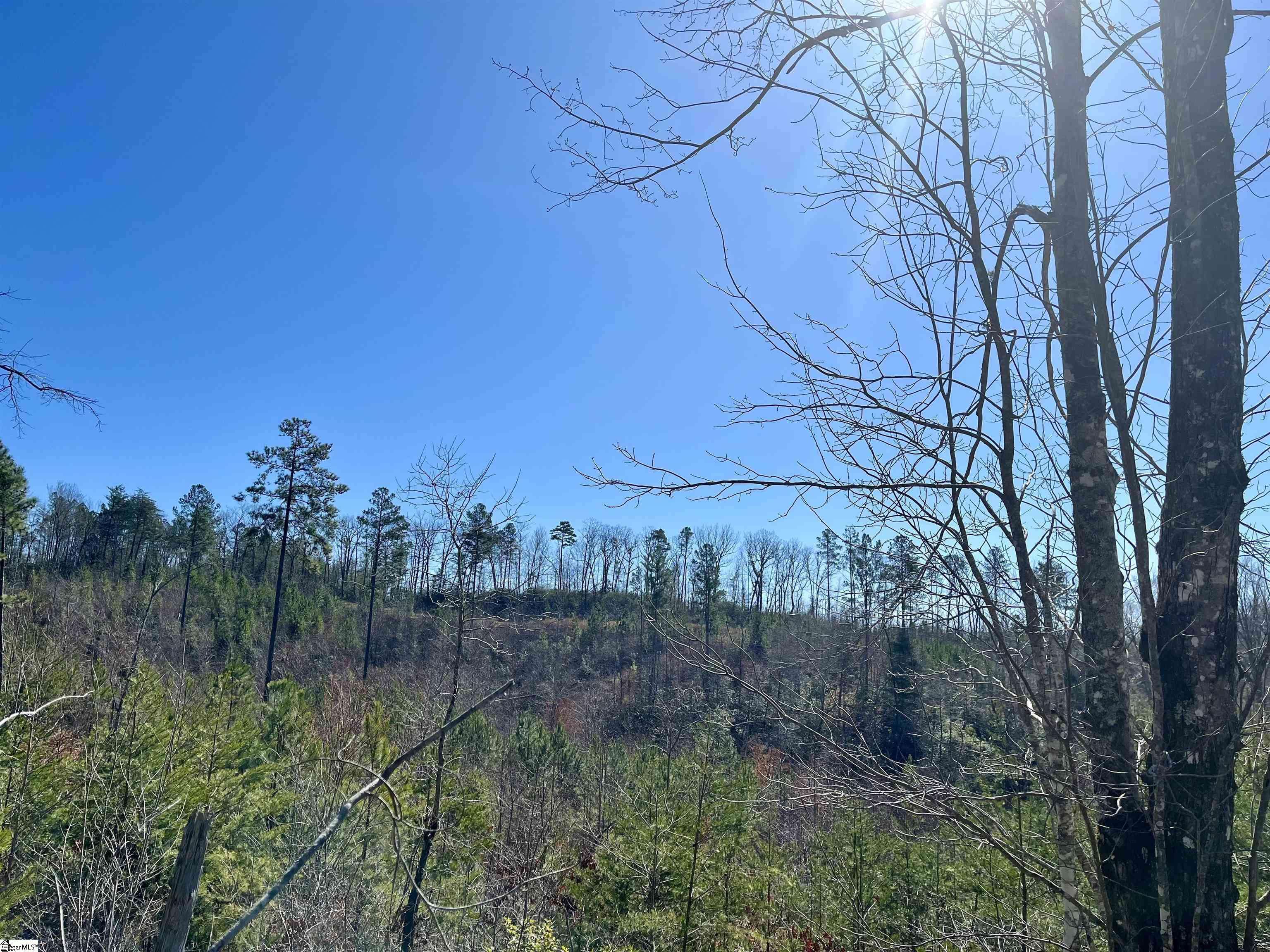 Marietta, SC 29661,00 Landrum Creek Road