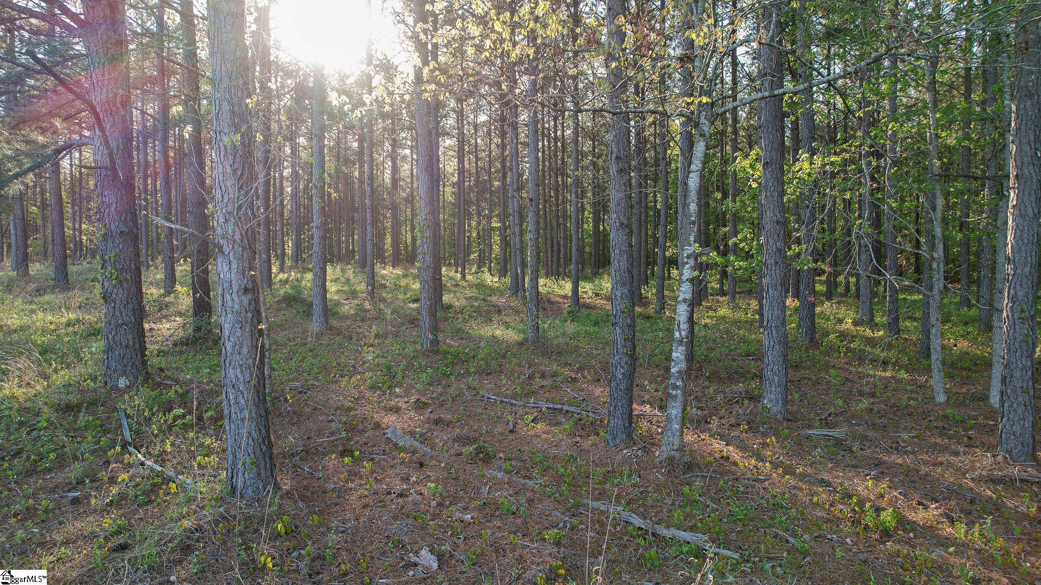 Mountville, SC 29370,07 Garlington Road
