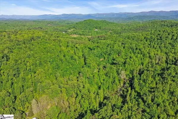 Travelers Rest, SC 29690,00 Burns Road