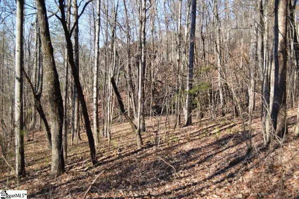 Marietta, SC 29661,Purple Finch Way