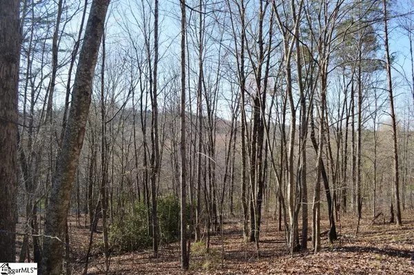 Marietta, SC 29661,Purple Finch Way