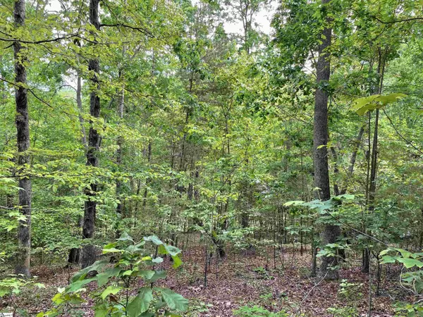 Pickens, SC 29671,00 Anthony Road
