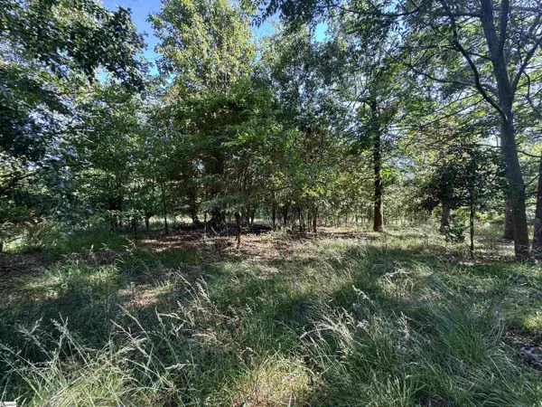 Liberty, SC 29657,00 Farmers Hill Road
