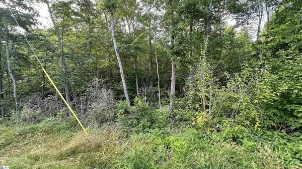 Seneca, SC 29678,00 Owens Road