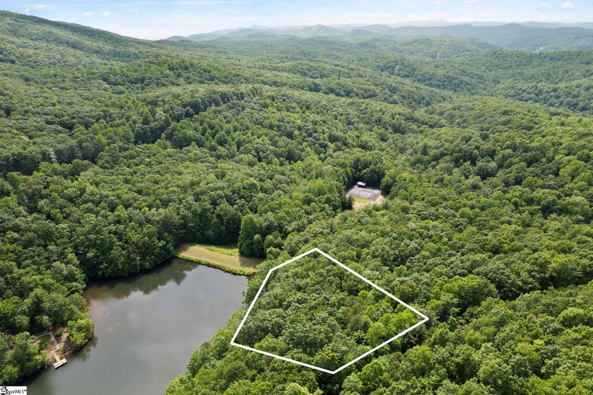 Tryon, NC 28782,430 Lakeview Drive