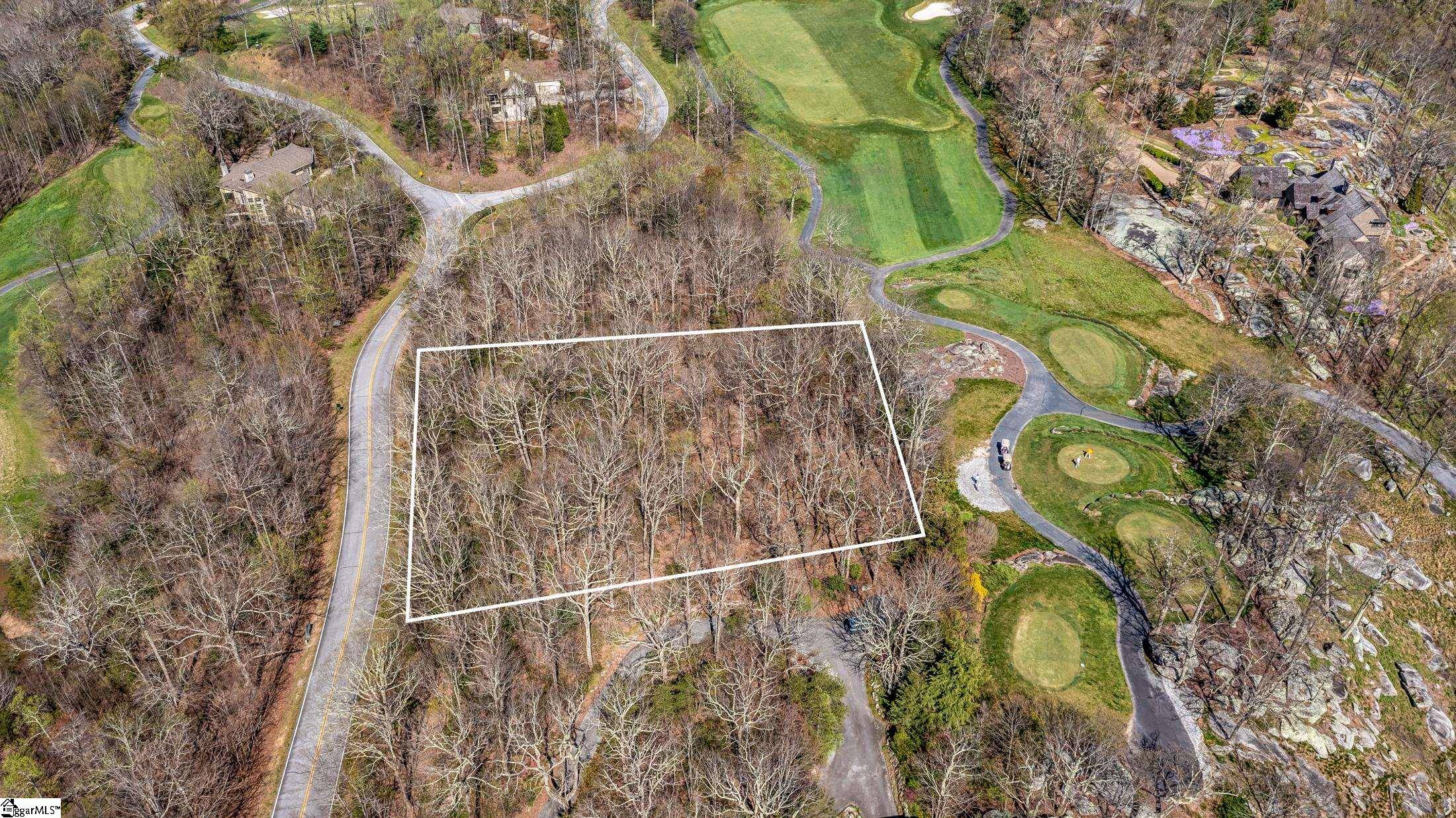 Landrum, SC 29356-3329,Glassy Ridge Road