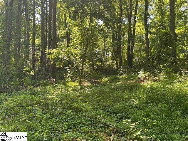Duncan, SC 29334,Berry Shoals Road