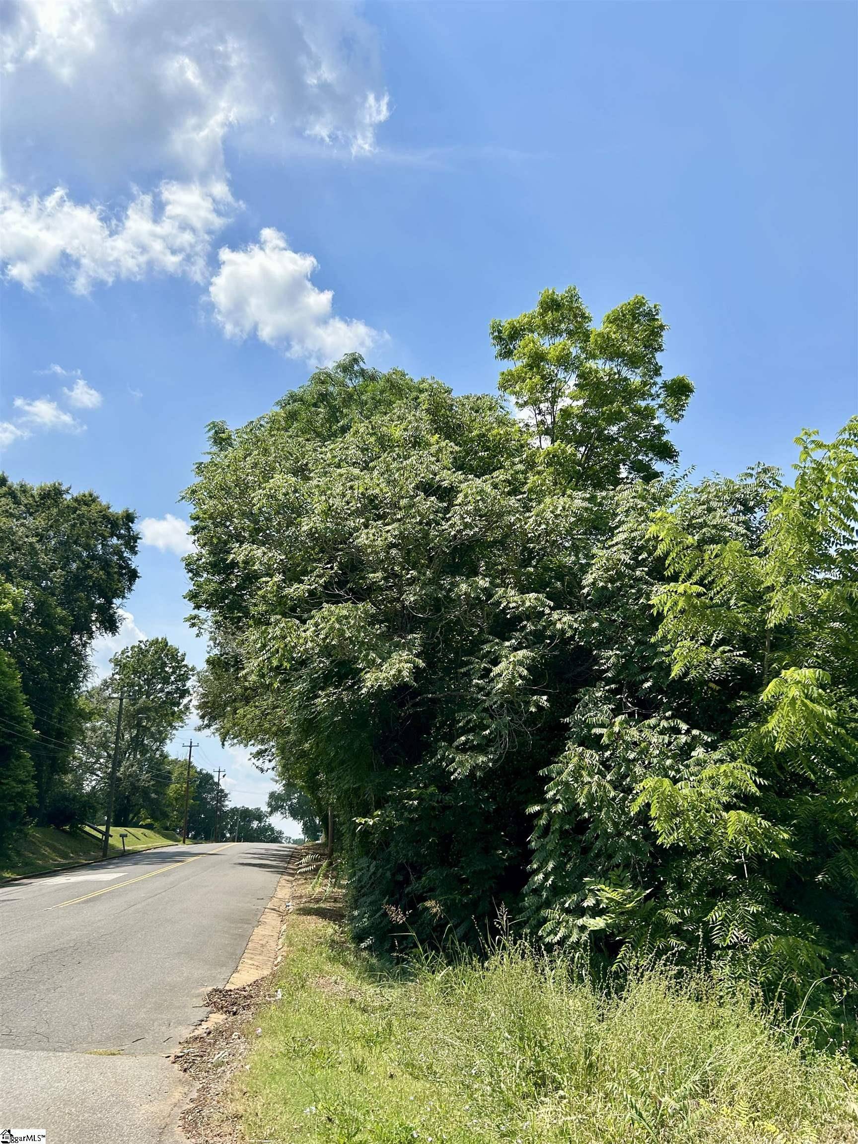 Gaffney, SC 29342,00 Meadow Street