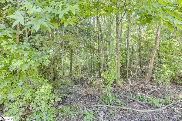 Taylors, SC 29687,1208 Bradford Creek Lane