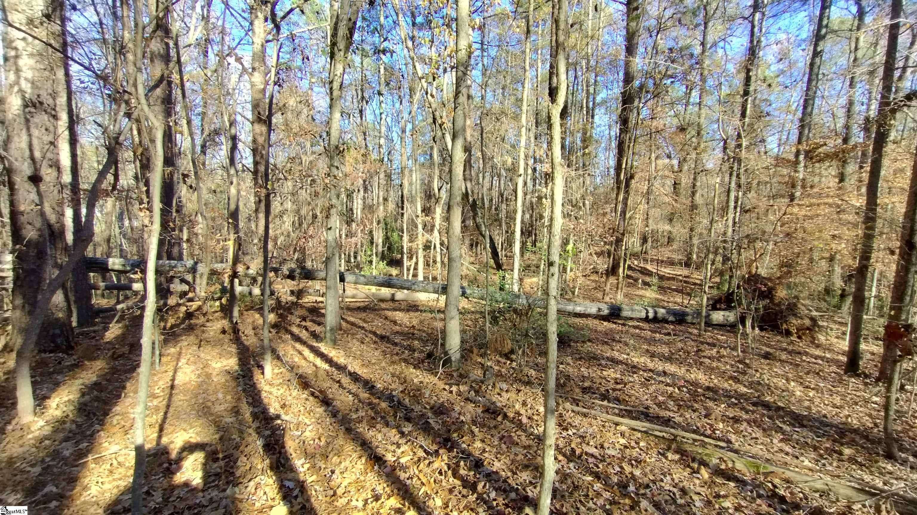 Laurens, SC 29360-8315,00A Blair Road