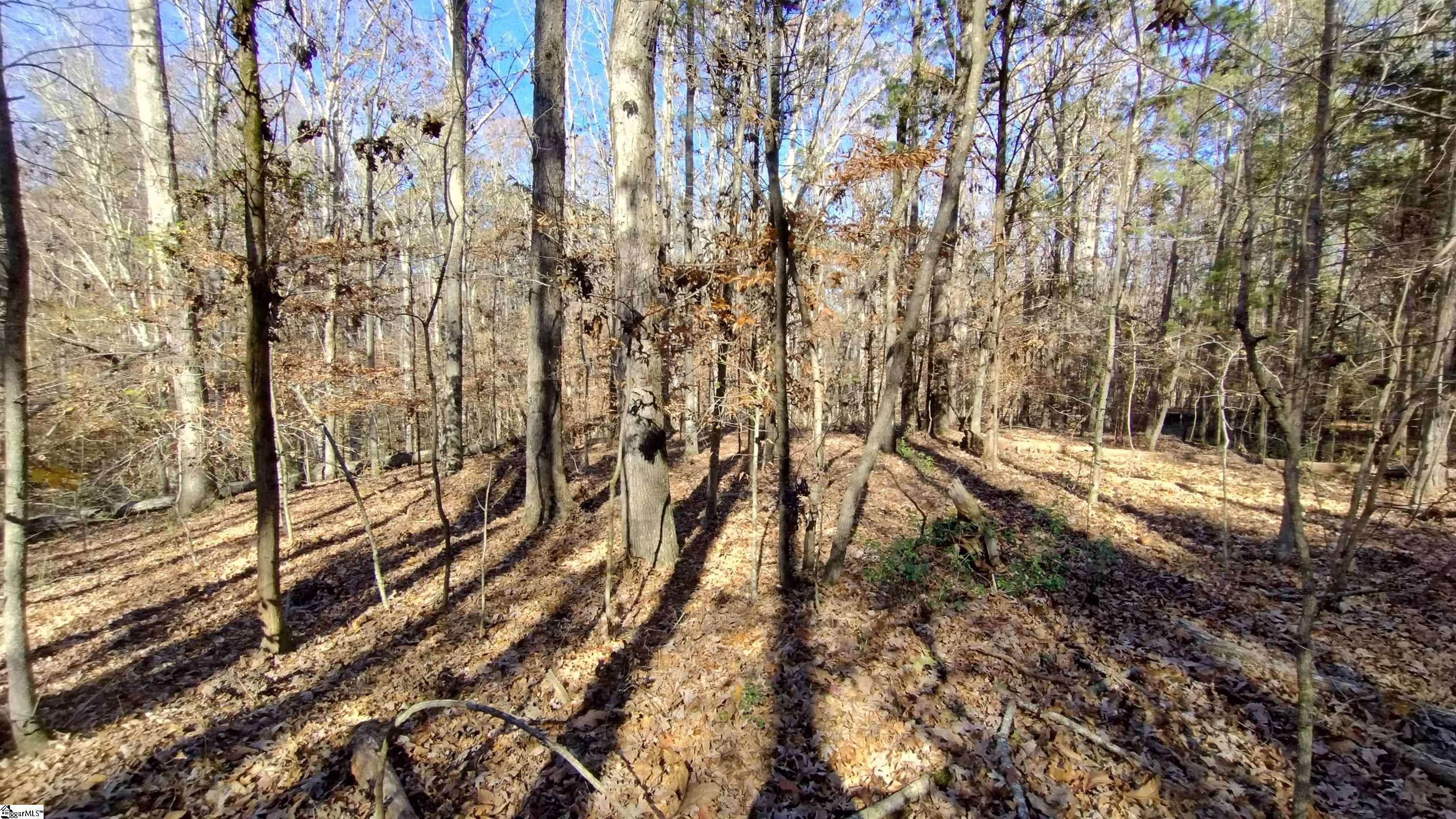 Laurens, SC 29360-8315,00A Sullivan Road
