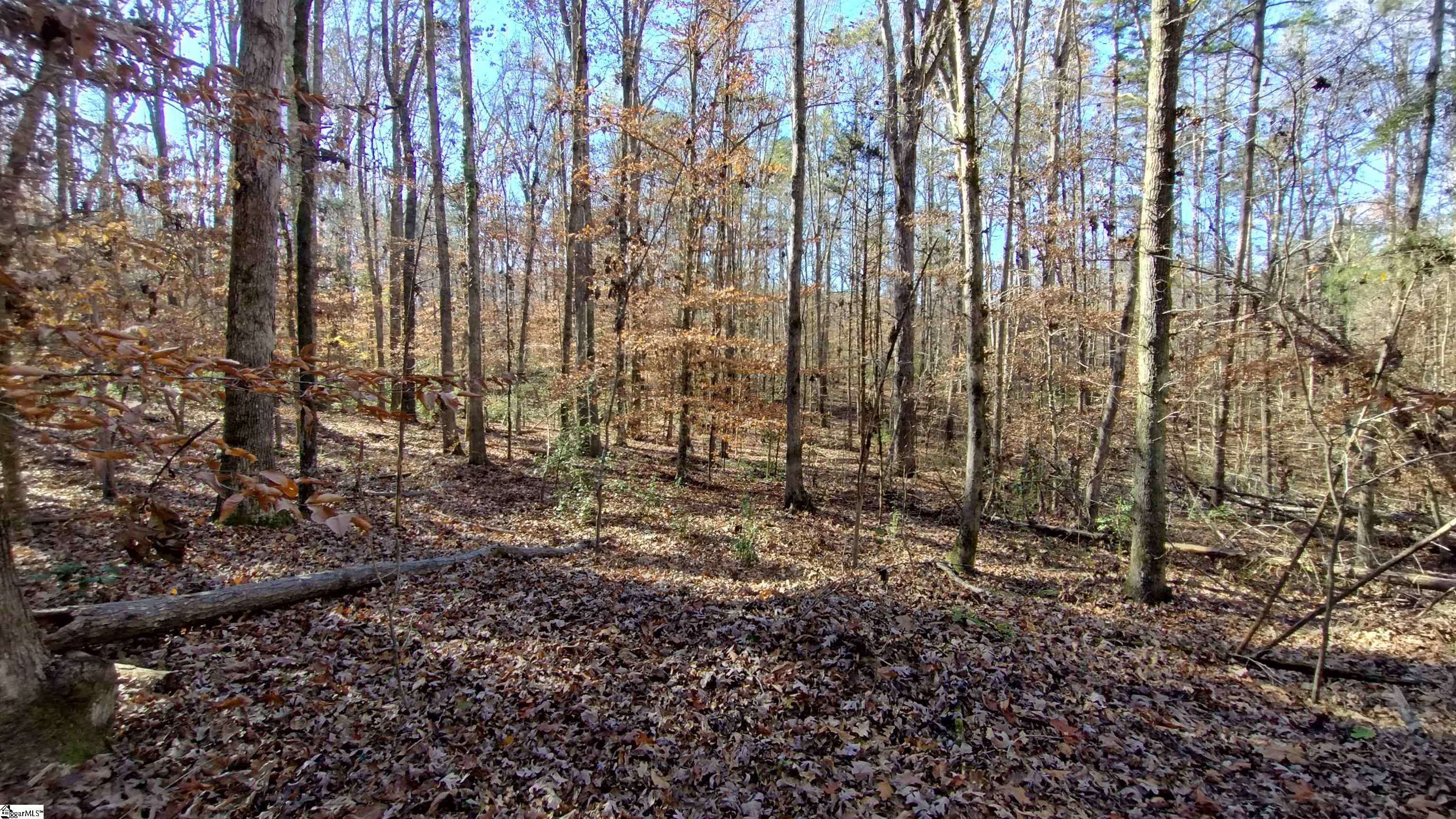 Laurens, SC 29360-8315,00A Sullivan Road