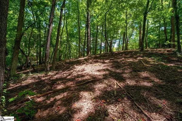 Seneca, SC 29672,000 Cane Creek Drive