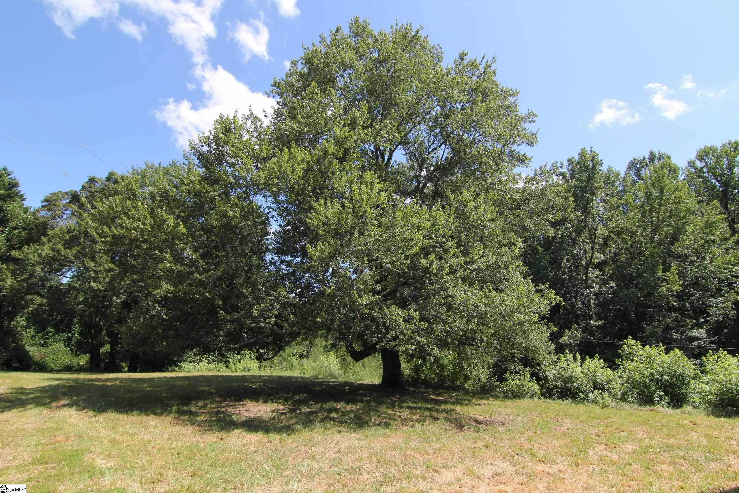 Pickens, SC 29671,783 Rhymes Lane