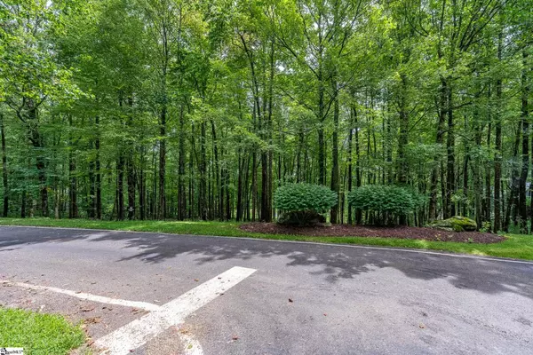 Landrum, SC 29356-3329,30 Snap Dragon Way