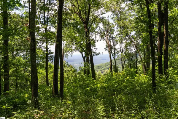 Landrum, SC 29356,22 Raven Road