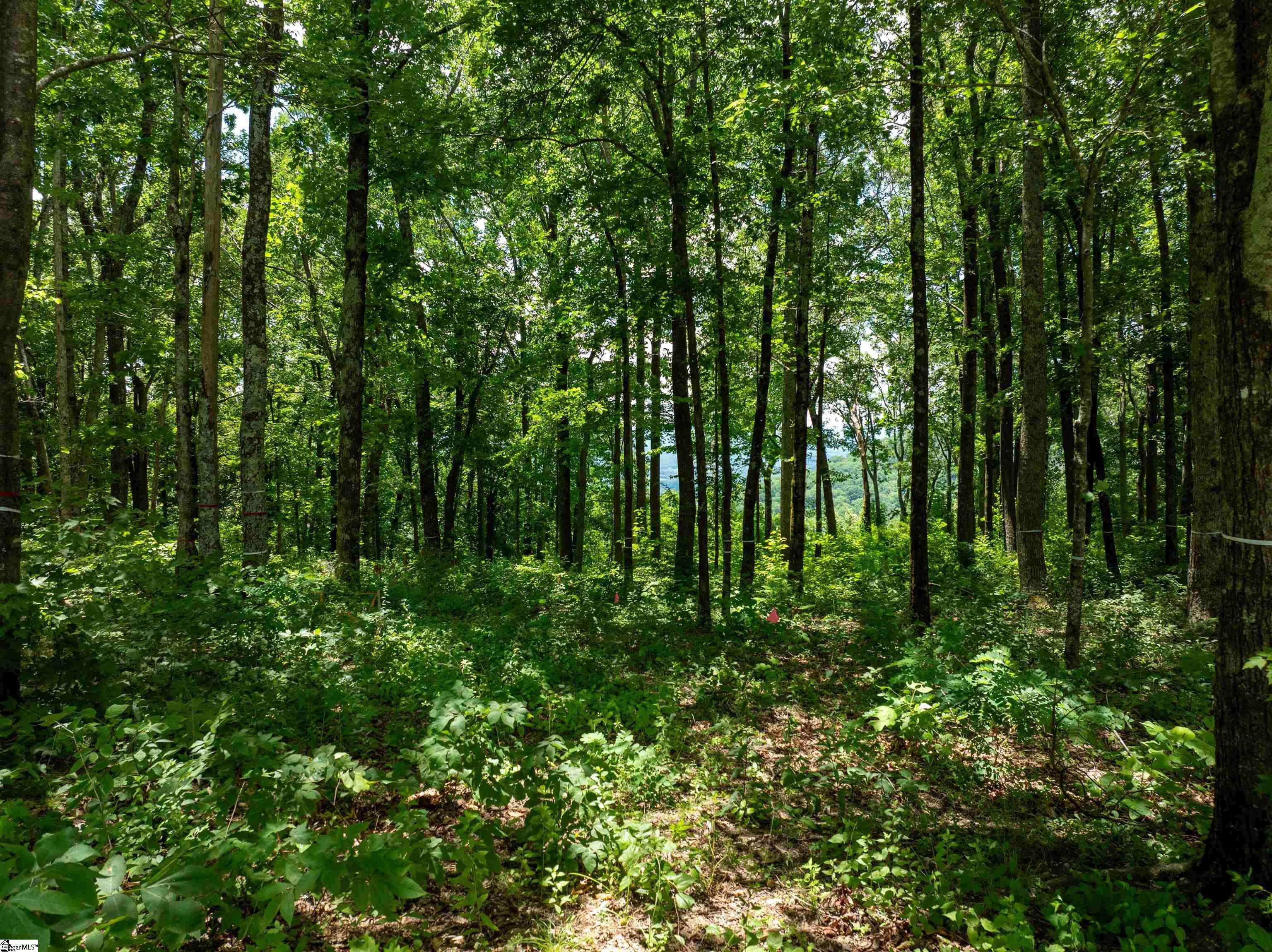Landrum, SC 29356,28 Raven Road