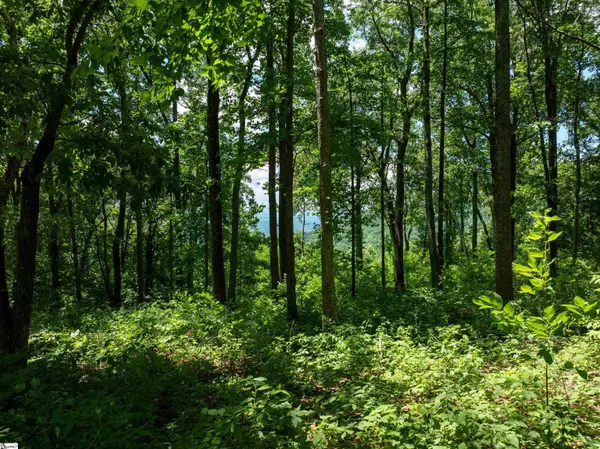 Landrum, SC 29356,28 Raven Road
