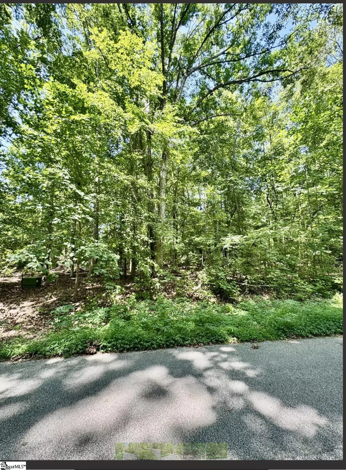 Laurens, SC 29360,Lot B Adair Place