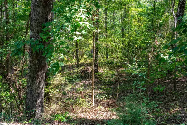 Townville, SC 29689,0 Rochester Road