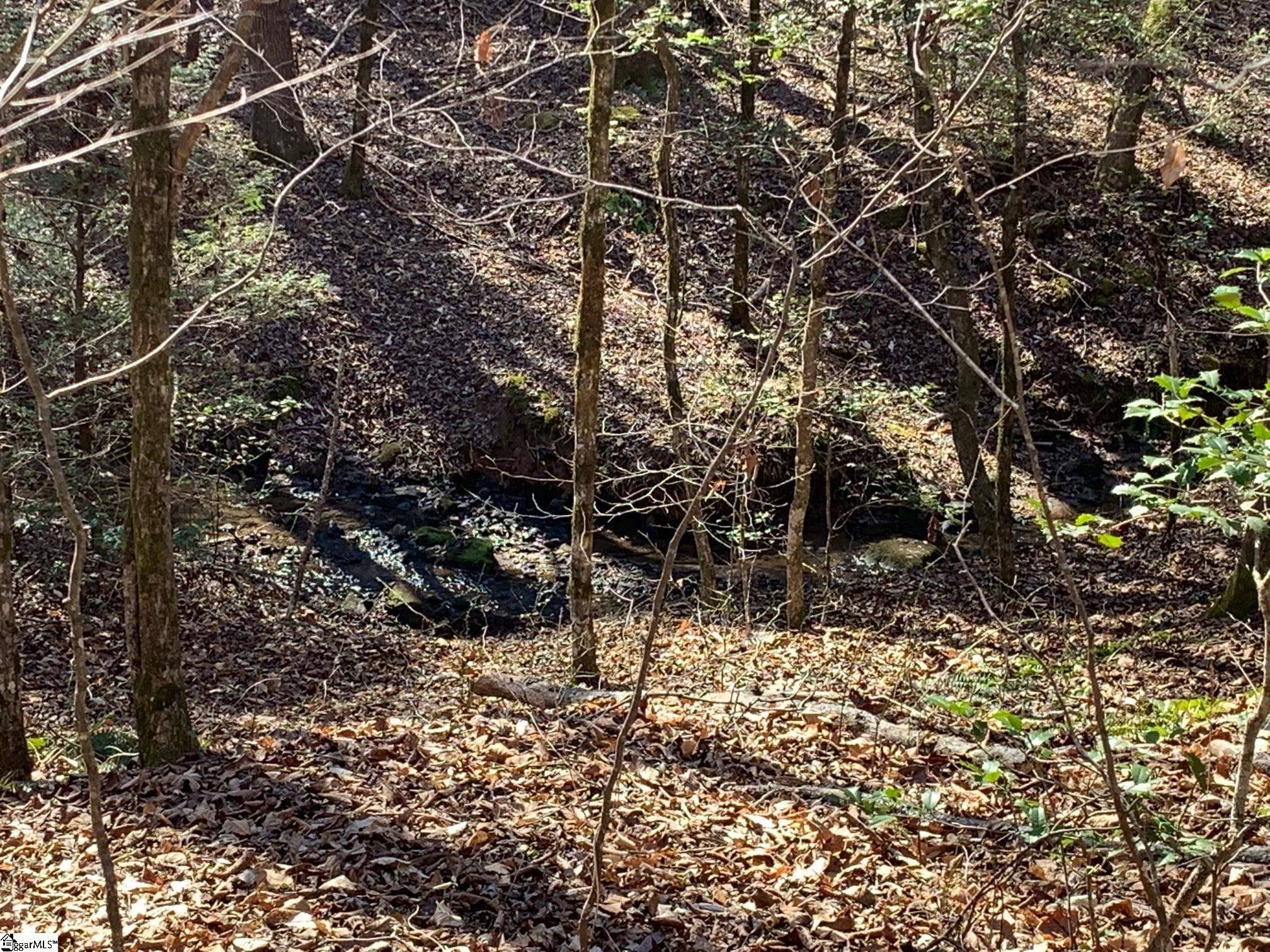 00 Saw Mill Road, Marietta, SC 29661