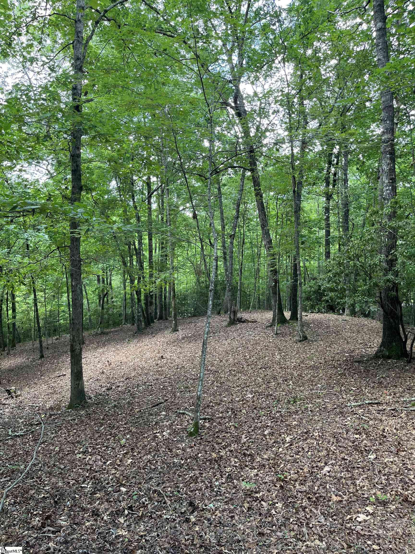 Marietta, SC 29661,Darting Sparrow Way