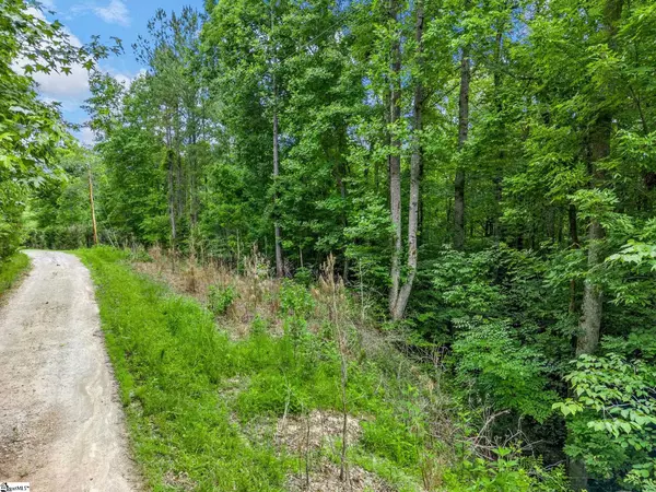 Fountain Inn, SC 29644,0 Bowater Pass
