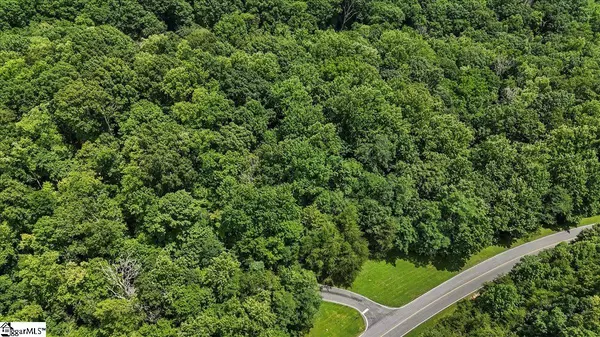 Landrum, SC 29356,2 Granite Falls Drive