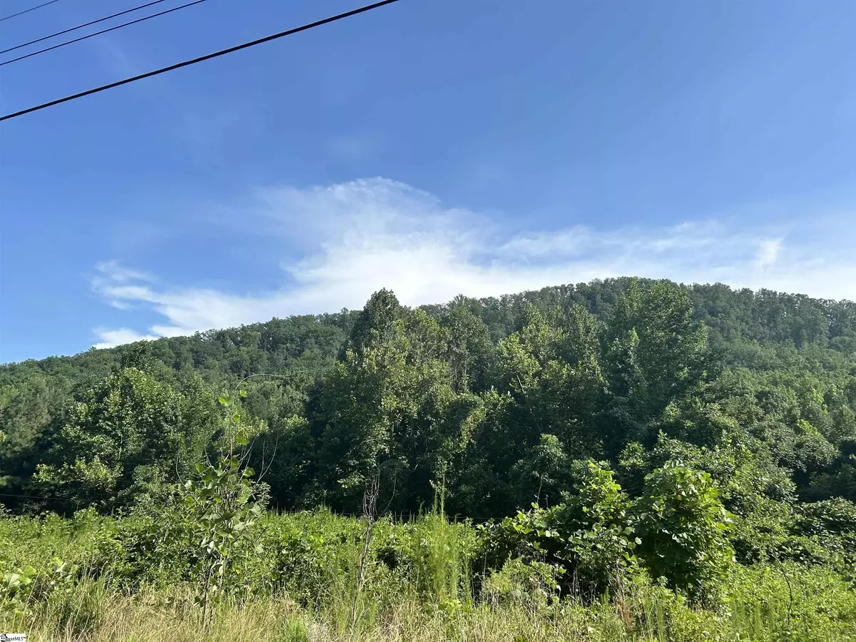 Pickens, SC 29671,10 acs E Preston McDaniel Road