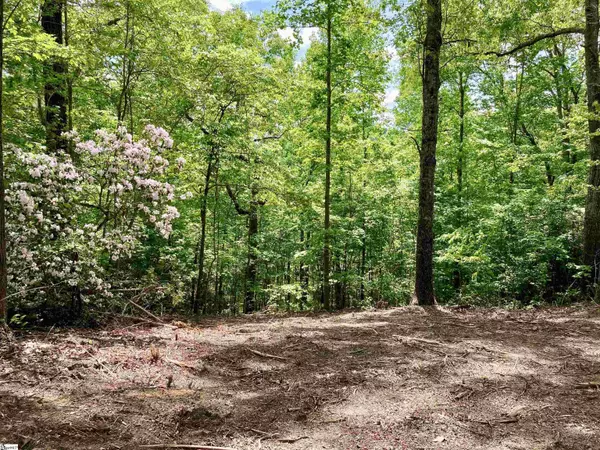 5 Water View Court, Travelers Rest, SC 29690