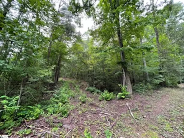 Travelers Rest, SC 29690,17 Queensmoor Road