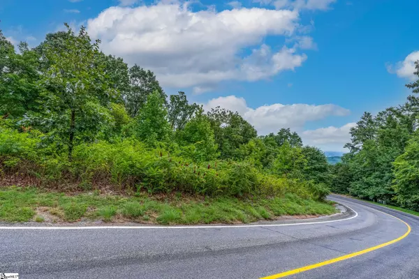 Landrum, SC 29356-3329,0 Foggy Cut Lane