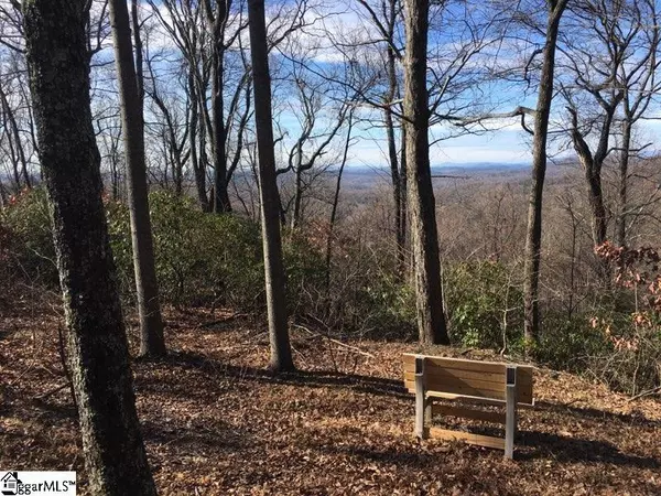 Landrum, SC 29356,0 Hidden Glory Drive