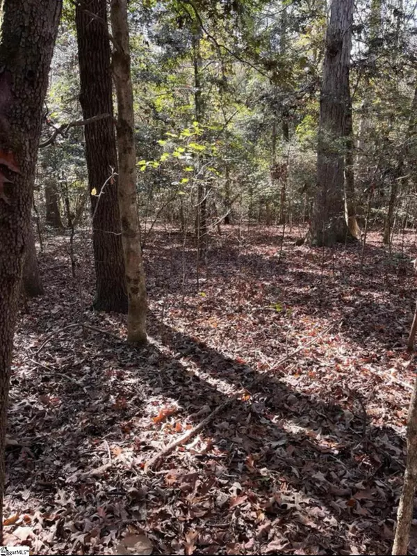 Starr, SC 29684,01 Evergreen Church Road