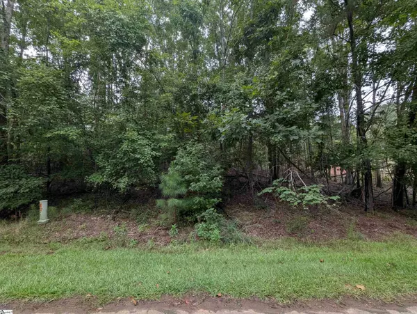00 E Peninsula Drive, Laurens, SC 29360